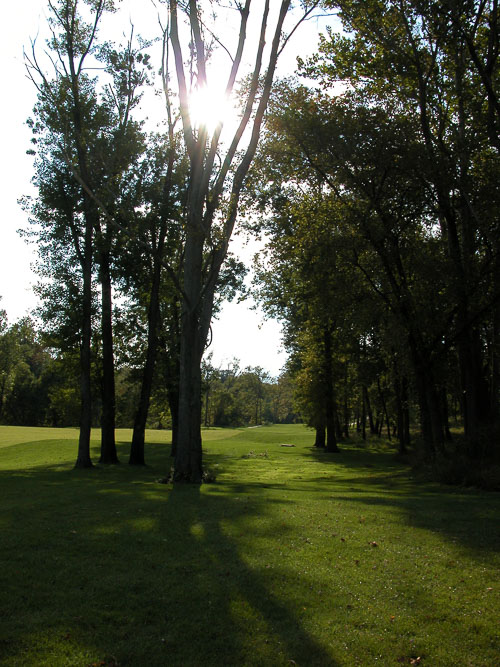 2003 October Stroll to Confluence Park