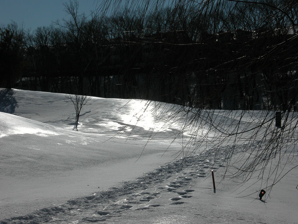 DSCN1063.jpg