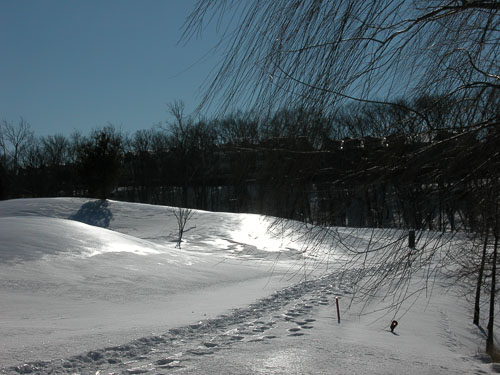 2003 Winter snow