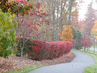 2004 October in River Creek