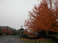 2004 October in River Creek