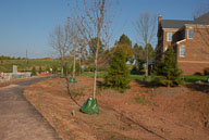 2006 Still Building Shoal Creek Gate