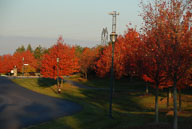 2006 Fall Color in River Creek