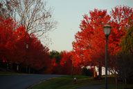 2007 Fall Color in River Creek