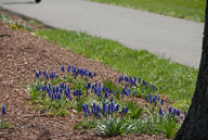 2009 Spring in River Creek