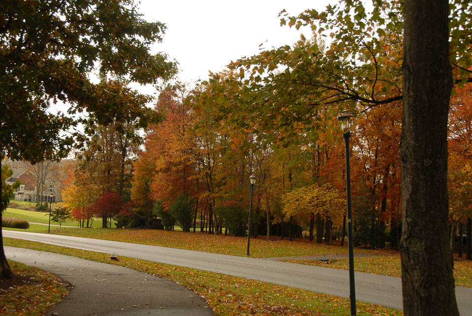 0910220159.jpg