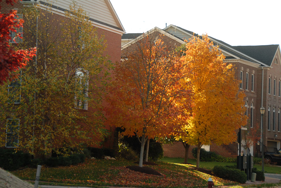 0910220201.jpg