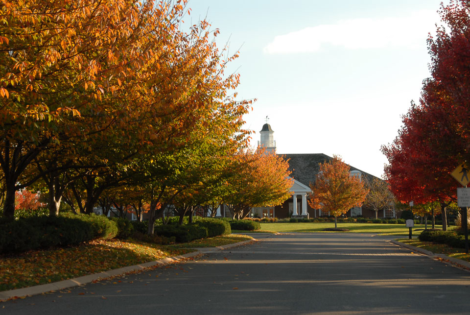 0910220206.jpg