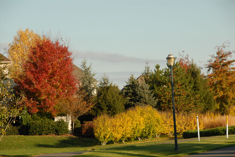 0910220211.jpg