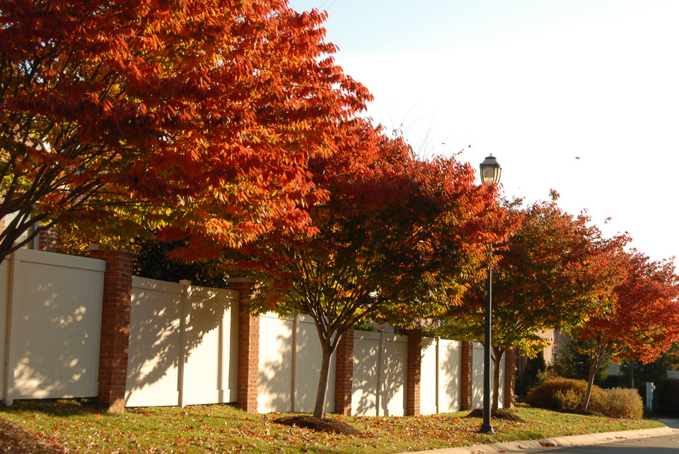 0910220213.jpg