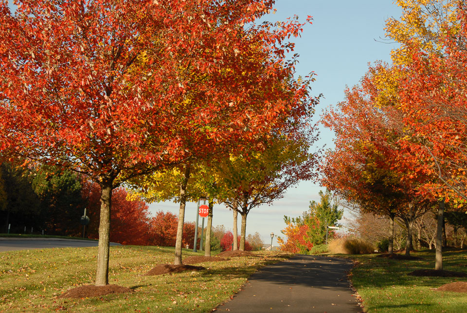 0910220215.jpg