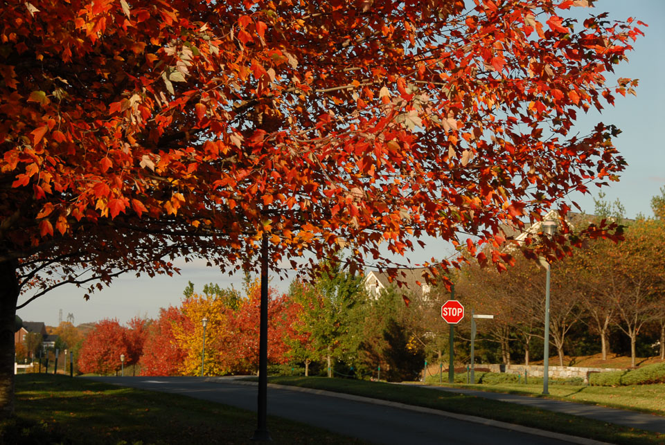 0910220220.jpg