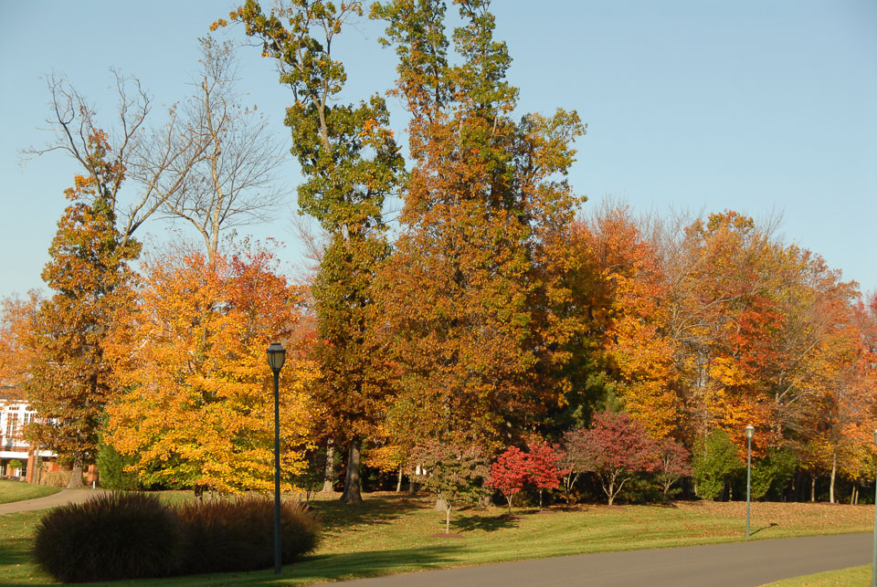 0910220232.jpg