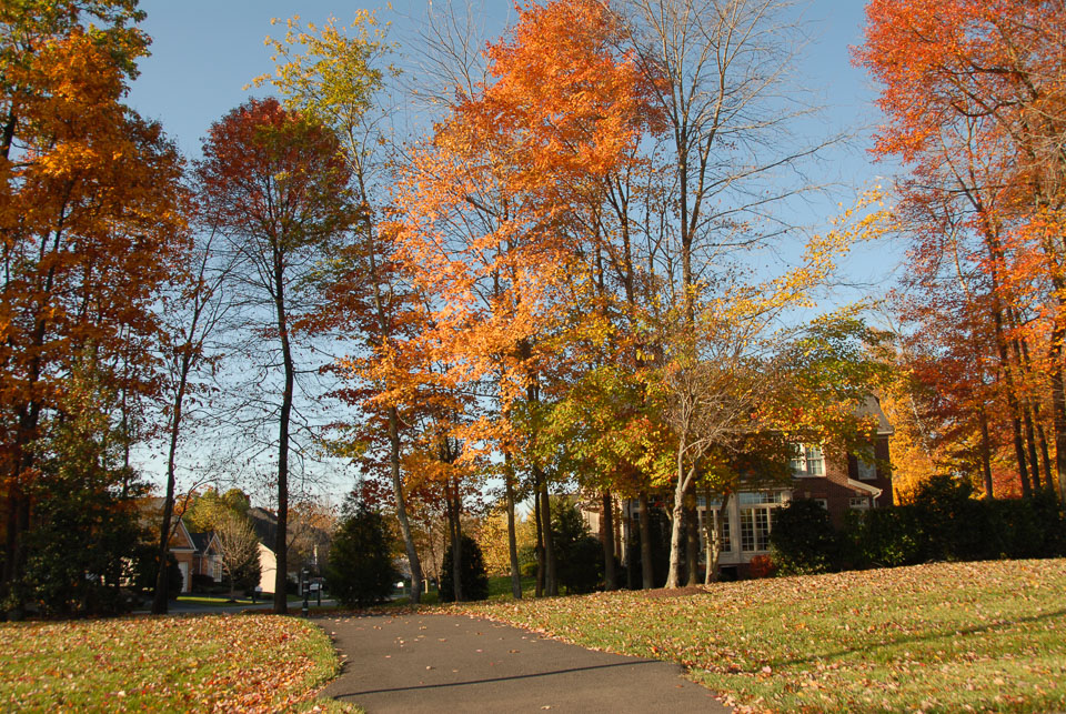 0910220233.jpg