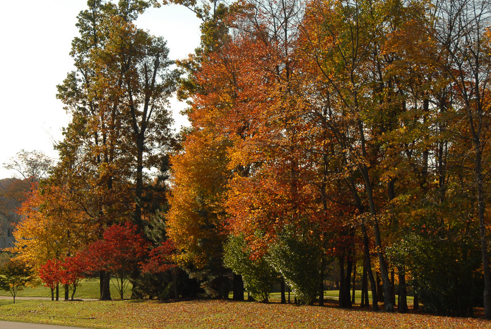 0910220240.jpg