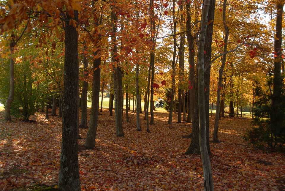 0910220241.jpg