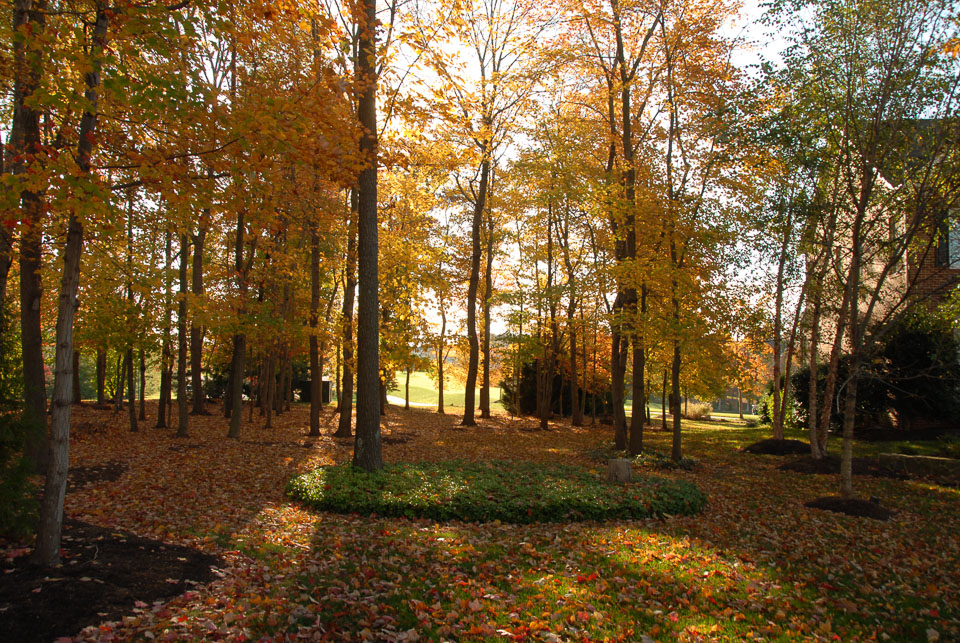 0910220242.jpg