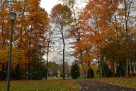 2009 Fall Color in River Creek