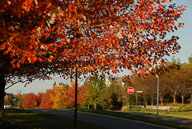 0910220220.jpg