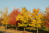 0910220221.jpg