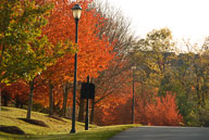 0910220222.jpg