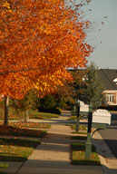 0910220223.jpg