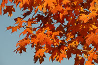 0910220225.jpg