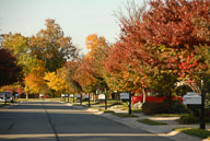 0910220231.jpg
