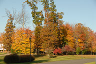 0910220232.jpg