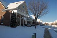 2010 January 31 Snowstorm