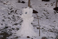 2010 January 31 Snowstorm