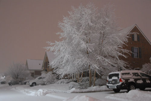 2010 The HUGE Snowstorm Feb 2