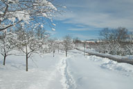 2010 02 The HUGE Snowstorm Feb 7