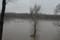 2010 Flood