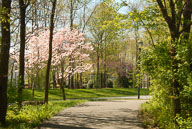1204060003.jpg