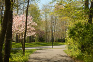 1204060004.jpg