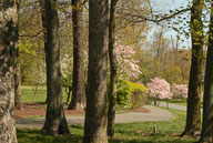 1204060015.jpg