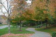 1210280155.jpg