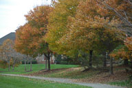 1210280159.jpg
