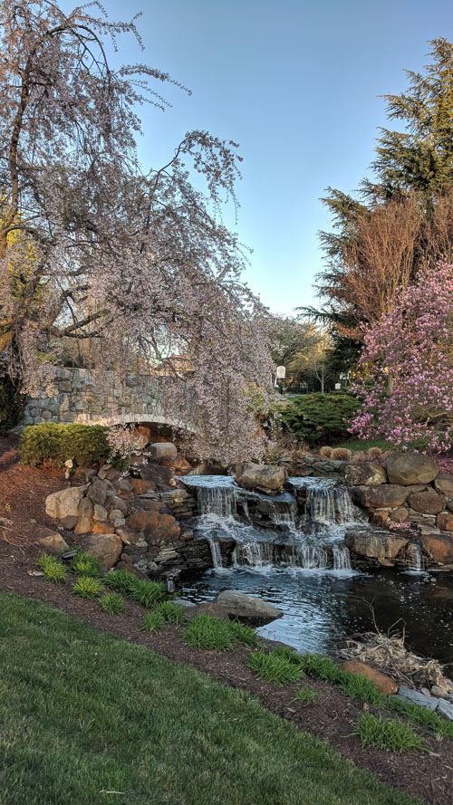 2018 Apr Olympic Lower Waterfall