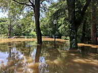 2018 June 4 Flood at 1PM