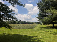 2018 June 4 Flood at 1PM 2018 June 4 Flood at 1PM