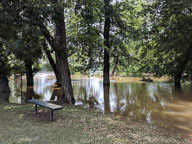 2018 June 5 Flood at Noon 2018 June 5 Flood at Noon