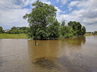 2018 June 5 Flood at Noon