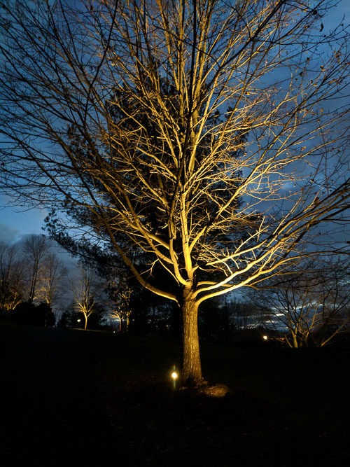 2018 Oct Secret Walking Path and New Lighted Path