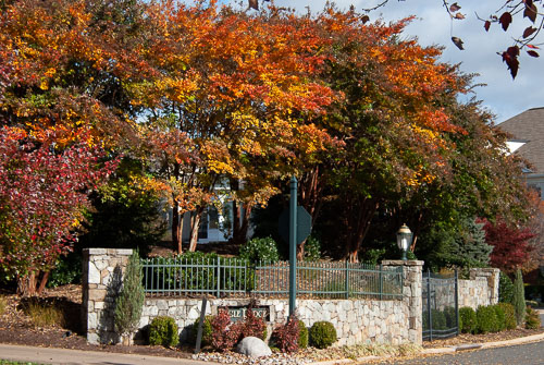 2018 Fall Color 2018 Fall Color