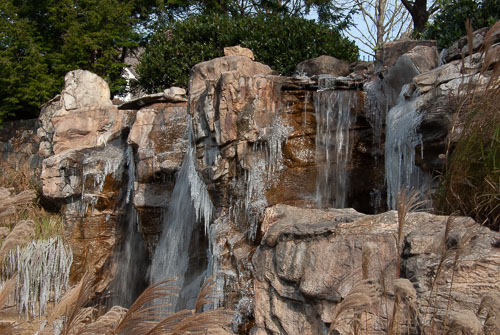 2018 Nov Olympic Waterfall Study 2018 Nov Olympic Waterfall Study