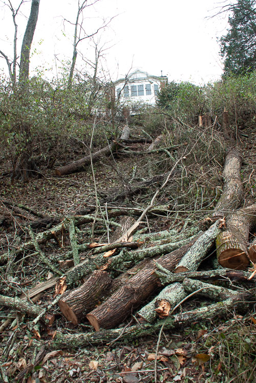 2018 Dec Confluence Park