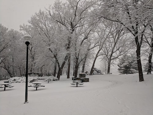 2019 Jan 29th Snow in Confluence Park