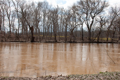 2019 Mar High Water in Confluence Park 2019 Mar High Water in Confluence Park